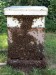 honey-bee-hive.jpg